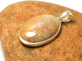 Oval Fossilized Coral Sterling Silver 925 Gemstone Pendant