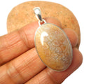 Oval Fossilized Coral Sterling Silver 925 Gemstone Pendant