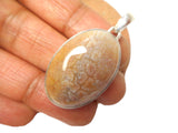 Oval Fossilized Coral Sterling Silver 925 Gemstone Pendant
