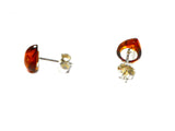 Cognac AMBER Sterling Silver Teardrop Stud Earrings 925 - 8 x 10 mm - (ABST2910151)