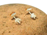 Cognac AMBER Sterling Silver Gemstone Square Stud Earrings 925 -  7 x 7 mm  (ARST02101817)